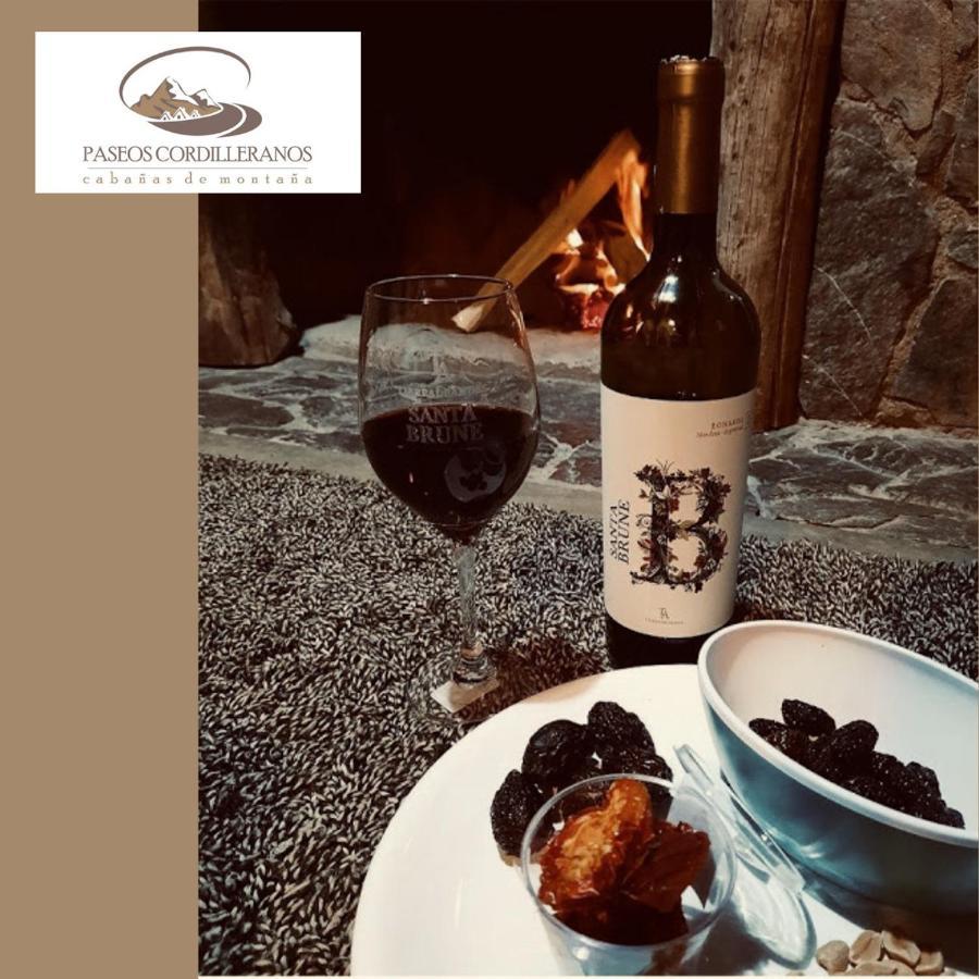 Cabana 17 Potrerillos Villa Mendoza Kültér fotó